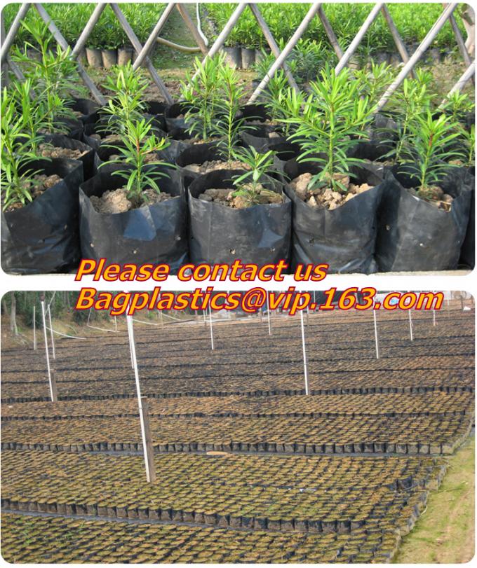 Poly Planter, Grow Bag, garden bags, grow bags, hanging plant bags, planter, Plastic plan garden bags, garden supply pac