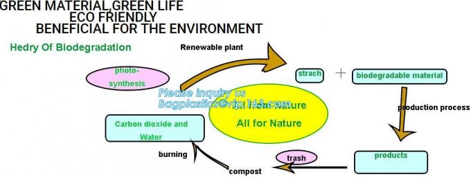 Flower Shaped 330ml PP Plastic Snack Plate With Cup Holder,Disposable PS Plastic Cup Top Snack Tray,Snack Cup With Straw