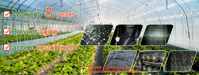 DRIP IRRIGATION PIPE,PE DRIP TAPE PIPE,PPR PIPE,PVC PIPE,PMMA SHEET,PIPE FITTINGS,PERT PIPE,PC SHEET,PE PIPE,PEX PIPE PB