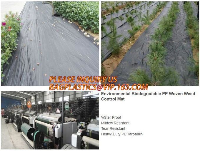 DRIP IRRIGATION PIPE,PE DRIP TAPE PIPE,PPR PIPE,PVC PIPE,PMMA SHEET,PIPE FITTINGS,PERT PIPE,PC SHEET,PE PIPE,PEX PIPE PB