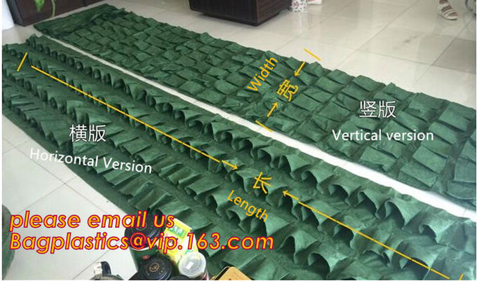 DRIP IRRIGATION PIPE,PE DRIP TAPE PIPE,PPR PIPE,PVC PIPE,PMMA SHEET,PIPE FITTINGS,PERT PIPE,PC SHEET,PE PIPE,PEX PIPE PB