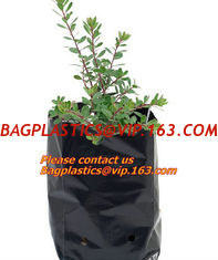 China Poly Planter, Grow Bag, garden bags, grow bags, hanging plant bags, planter, Plastic plan garden bags, garden supply pac supplier