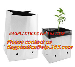 China Flower bags, flower plant bags, planters, poly plant grow nursery bags,Black Polythene Poly Pots, plantin supplier