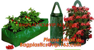 China Plastic Hanging Growing Strawberry Bags Planter ,Hanging Strawberry Planter Bags,Strawberry Planter supplier