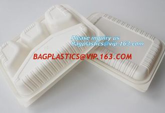 China Plastic corn starch biodegradable meat tray, Cornstarch disposable biodegradable plate supplier