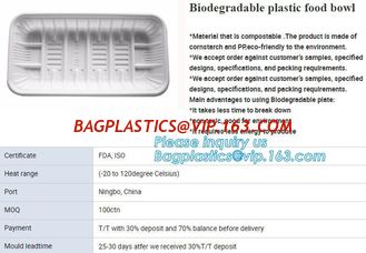 China blister packaging tray, rectangular plastic food tray, CornStarch PLA cement tray supplier