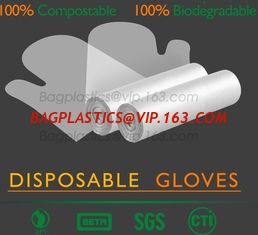 China medical compostable disposable plastic gloves, EN13432 BPI OK compost home ASTM D6400 cheap Factory OEM biodegradable di supplier