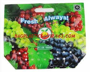 China fruit slider package Bag, Fruit Laminated Bunch Bag Slider Zipper Bags Apple / Grape Laminated Bunch Bag supplier