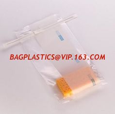China Microbiology Specimen Collection and Transport, Bacteriostatic Urine Drainage Bag - 2000ml, Sterile, Sampling &amp; Sample S supplier