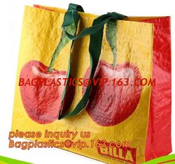 China Super quality gift pp woven shopping bag with zipper,pp woven check jumbo laundry shopping bag,Eco Friendly Recycle Reus supplier