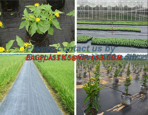 China Water management weeb control pavement preservation courtyard beautify anti insect anti mold seedbed protection vegetati supplier
