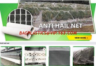 China bird protection net, net trap,bird net,anti-bird net,mist net,pe tarpaulin,tarpaulin roll,shade net,mesh net,monoflament supplier