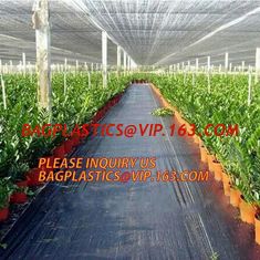 China environmental biodegradable pp woven weed control mat, heavy dury pe tarpaulin,Woven Weed Barrier/Weed Control Fabric supplier