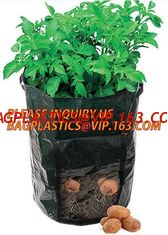China Garden grow bag potato grow bag murphy bag PE fabric,40 / 50 / 100 / 200/300gallon durable heavy duty potato grow bag supplier