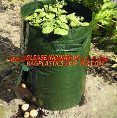 China UV resistant PE potato growing bag garden planter bags with Flap and handles,Flap and Handles Collapsible 10 gallons supplier