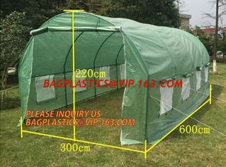 China WATER PROOF UV COATING REINFORCED PE HYDROPONIC GREENHOUSE, PE WOVEN OUTER DOOR, Polytunnel Mini Tunnels Walk in Greenho supplier