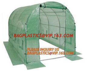 China Economic Small Windscreen Green Garden House,vegetable greenhouse hoop green house,small Garden Greenhouse for Indoor pl supplier