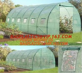 China polycarbonate plastic sheet agricultural mini garden green house,plastic walk in dome garden green house, SUPPLIES, PAC supplier