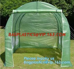 China Excellent Material Agriculture Greenhouse/Low Cost Green House,High quality outdoor garden mini portable green house supplier
