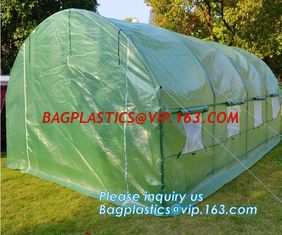 China Strawberry Planting Green House,200 micron UV plastic film for agriculture green house,High safety greenhouse for plants supplier