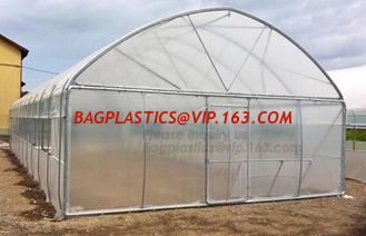 China Garden Walk In 4 Shelves&amp; Reinforced PE Cover green houses,Agriculture Farm Commercial Plastic PE Film Multi Spans Green supplier