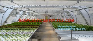 China small garden green house,Multispan Tunnel Greenhouse for Tomato Agricultural Green houses,fabric steel wire agriculture supplier