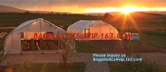 China Garden tomato green house greenhouse film 3 layer eva agriculture clear plastic protective 90% transmission green house, supplier