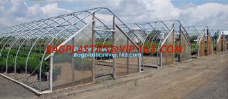 China PE protective film customized green house for agriculture anti frost,Venlo Glass Agricultural Green house, SUPPLIES, PAC supplier