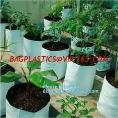 China Drain Growing Bags-White Color Grow Bags-100%Virgin Raw PE Planter Bags -25Gallon 150Microns Thickness Planting Bag, PAC supplier