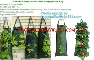 China 4 Pockets Permeable Non-woven fabric 26x65cmx1mm Vertical Wall Planting Bag for flower vegetable lettuce ferns, bagease supplier
