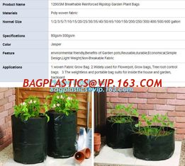 China 1 gal 2 gal 3gal 5gal 10gal black plastic grow planting greenhouse vegetable nursery bags,garden plant growing bag, bage supplier