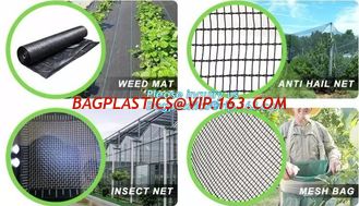 China Best-selling product agricultural product fruit fly nets /vegetables anti fly net /greenhouse anti insect net for agricu supplier