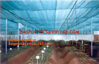 China agriculture anti insect net on roll insect proof mesh for greenhouse,Greenhouse Anti Insect Netting /Agriculture Netting supplier