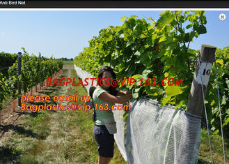 China Hot Selling Greenhouse Anti Insect Netting with Competitive Price,virgin hdpe anti insect net for agriculture, BAGPLASTI supplier