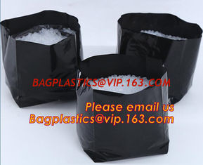 China polyethylene black grow bags plastic plant pot seeding nursery bags,Effective UV Stabilized Black White Plastic Growing supplier