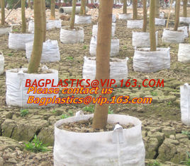 China non woven 1gal 2gal 3gal 5gal 7gal 10gal 20gal 30gal White Black PE Plastic Plant Nursery Grow Bag with Drainage Hole supplier