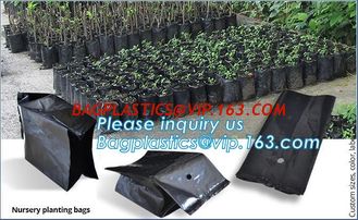 China Grow bag, planter bags, nursery bags, agro planting bag, seedling bag, spling bag, custom size, color, bales with logoes supplier