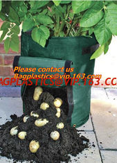 China potato planter with 7/10 gallon potato planter,potato grow pots with handles flap for easy havesting, and drainage holes supplier