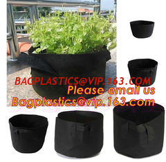 China fabric pots grow bag felt garden bag with handle,Hydroponic Grow Bag 1 Gallon Containers With Handle,Eco-friendly High q supplier