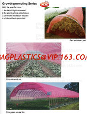 China 100% Biodegradable mulch, biological degradation processes, fruit box,flower pot,jute cloth,cultivating bag,jute net,net supplier