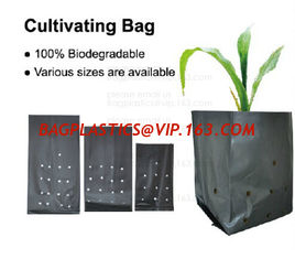 China PE CLIPS, CULTIVATING BAG, 100% BIODEGRADABLE VARIOUS SIZE ARE AVAILABLE,GREEN HOUSE,POT, PLANTING, PLANTER, FILM COVER, supplier