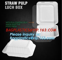 China straw pulp lunch box,eco-friendly PLA tableware,dinnerware set,healthy tableware,containers packaging bagasse clamshell supplier