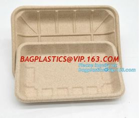 China Biodegradable &amp; Compostable 8 inchSquare sugarcane trays,sugarcane pulp compostable serving tray,lunch tray bagasse suga supplier