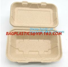 China Compartment hinged container sugarcane bassage pulp food serving box 750ml bassage take out container bagplastics packa supplier
