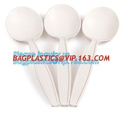 China 6 inches plastic biodegradable corn starch material spoon PLA dessert spoon,OEM Eco-friendly corn starch Disposable plas supplier