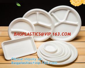China Biodegradable Disposable Sugarcane Bagasse Party Plate,Eco-friendly sugarcane bagasse paper plate/disposable compostable supplier