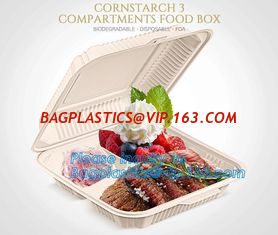 China corn starch clamshell box,Corn Starch Food Container, Disposable Lunch Box,Biodegradable Microwave Corn Starch Food Cont supplier