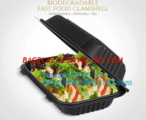 China Wholesale 24oz Disposable Bagasse Biodegradable Corn Starch Takeaway Food Container With Lid, bagease, bagplastics pack supplier