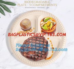China Eco Friendly Biodegradable Sugarcane Bagasse Plates Disposable,Sugarcane Bagasse Pulp Disposable Biodegradable Plate For supplier