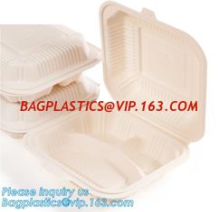 China Disposable corn starch bento lunch box takeaway food container,take away box PLA PP mixed biodegradable corn starch food supplier
